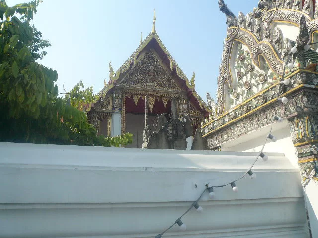 P1130603.webp