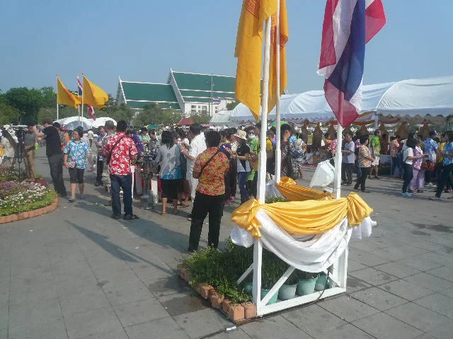 P1130624.webp