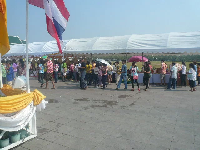 P1130625.webp