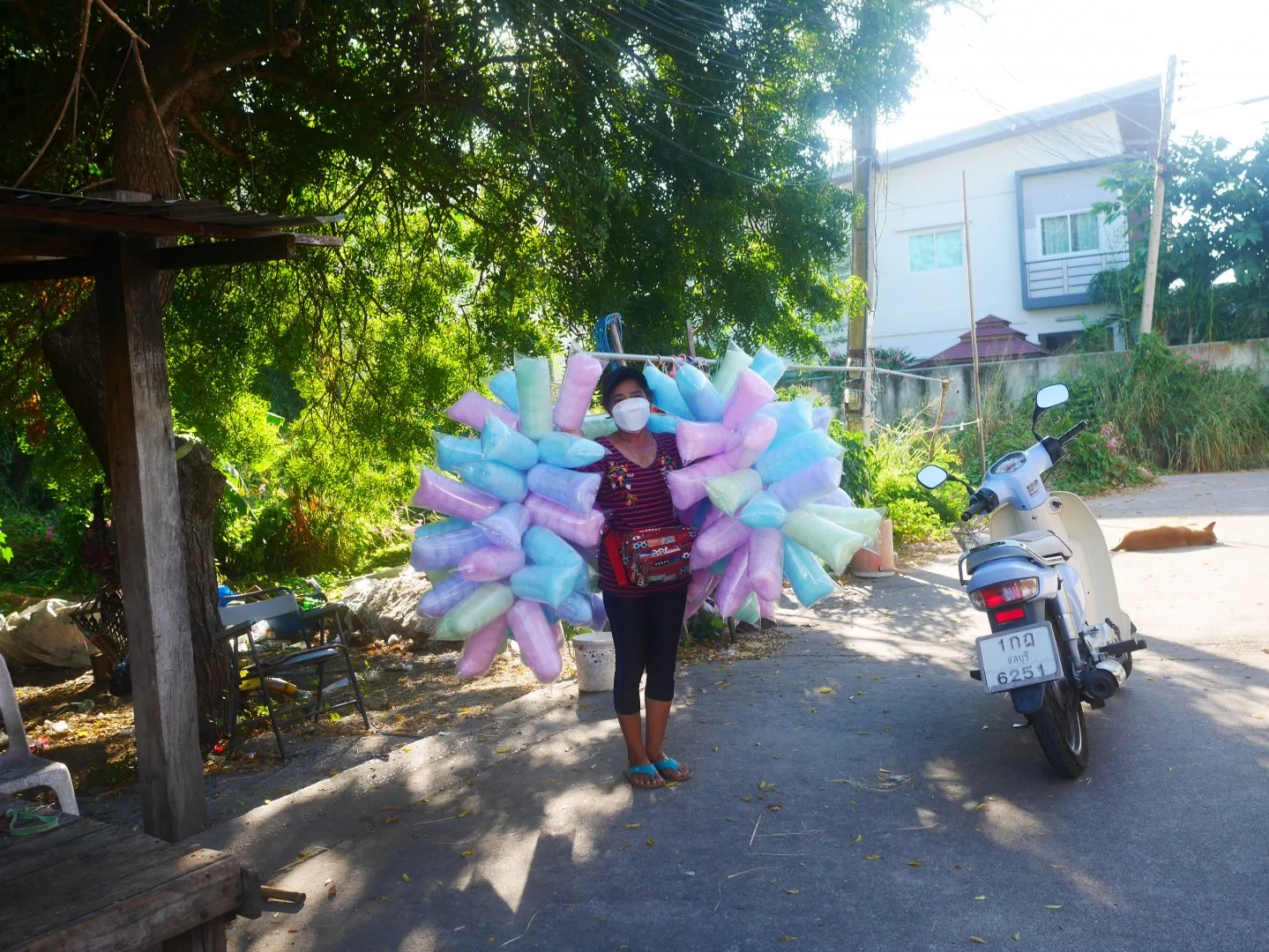P1150351.webp