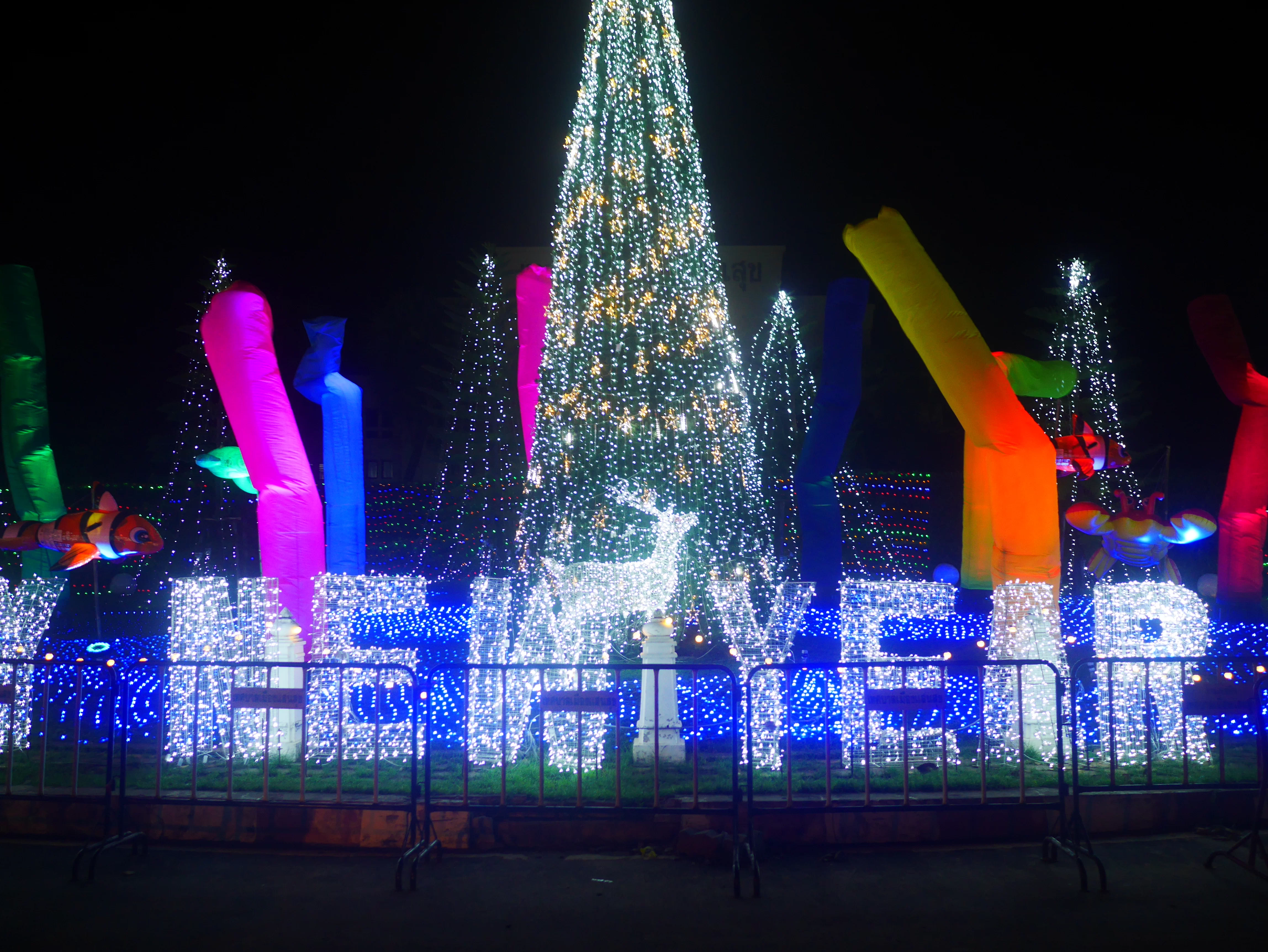P1150505.webp