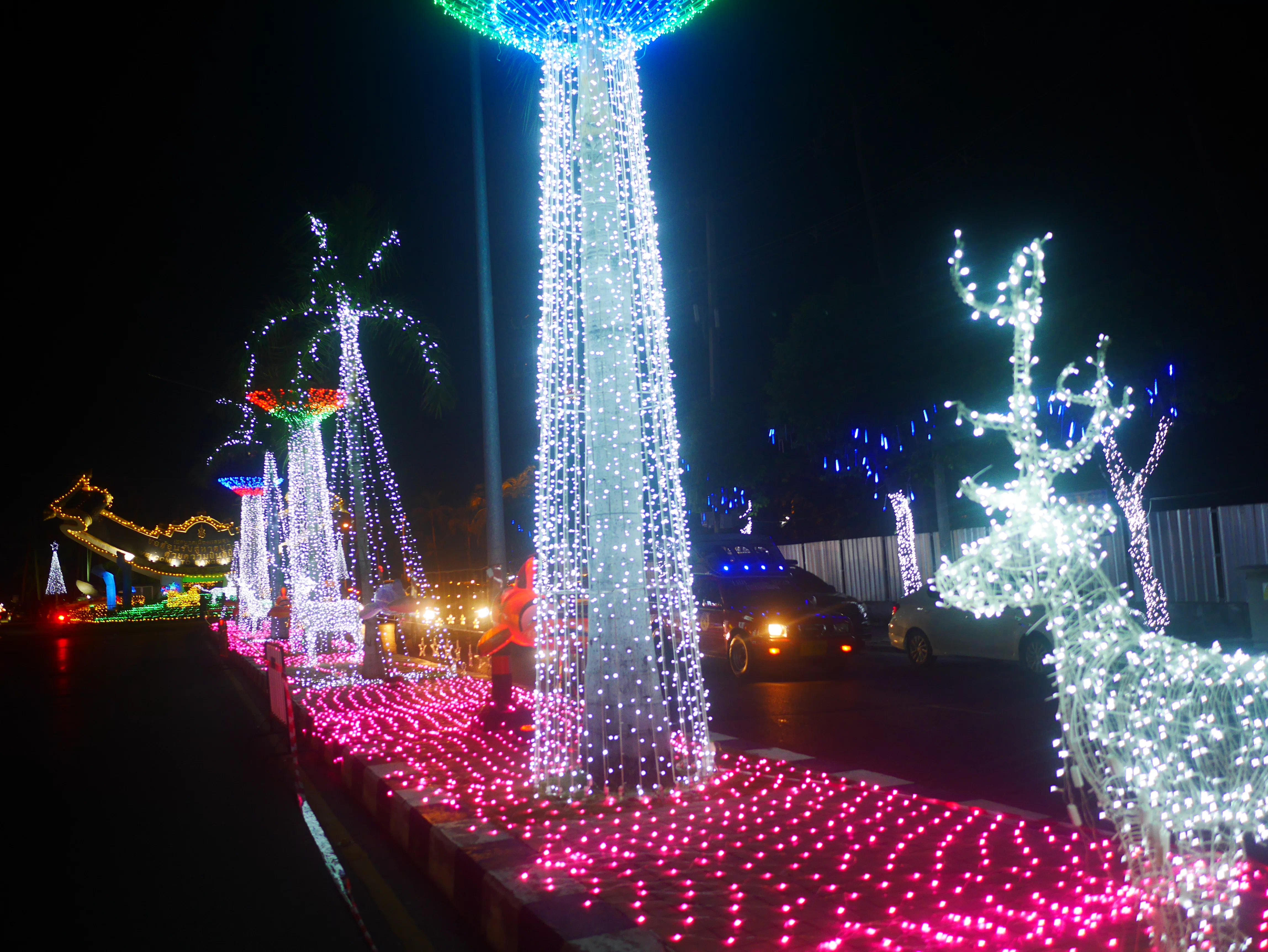 P1150519.webp