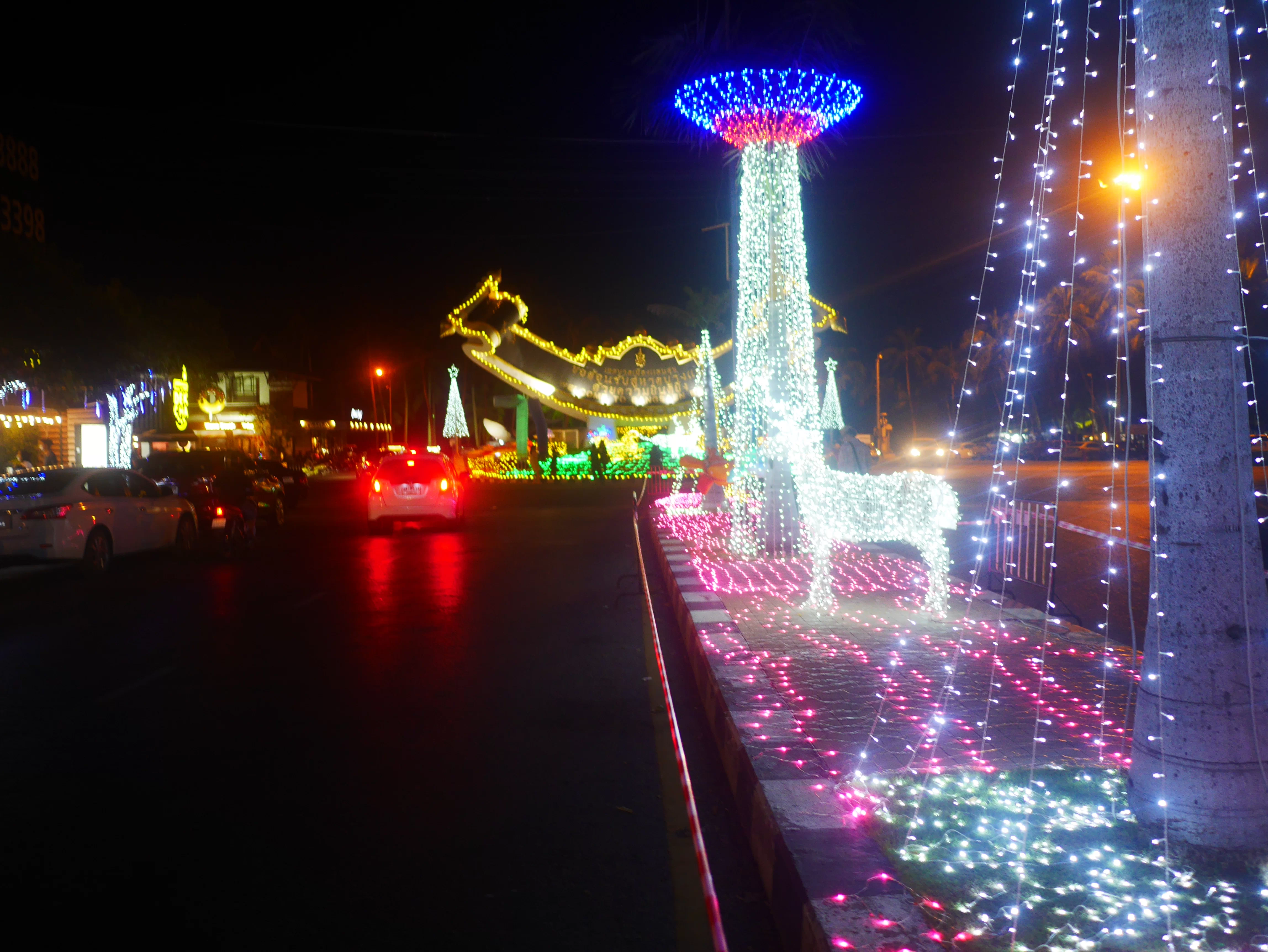 P1150526.webp