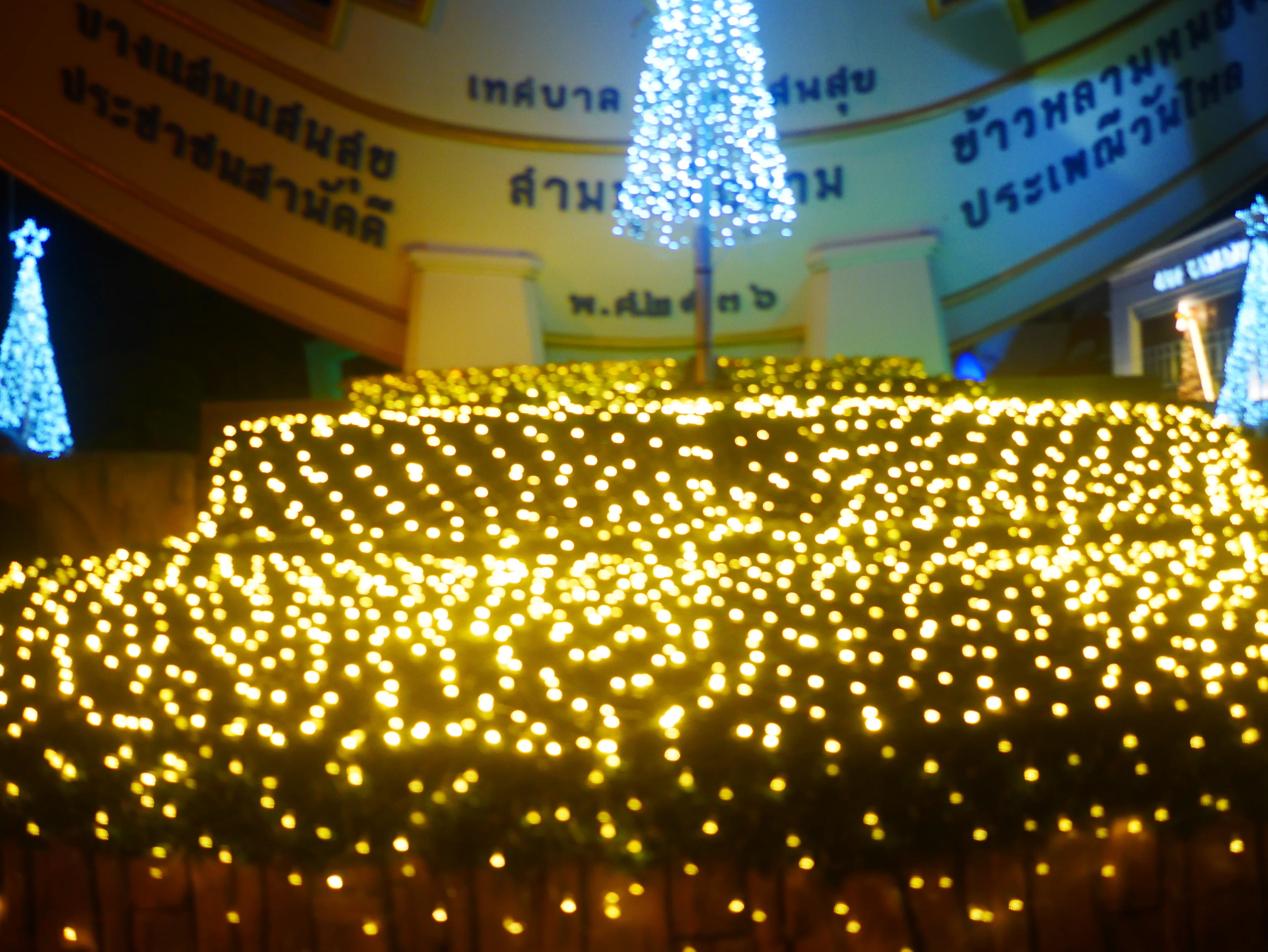 P1150544.webp