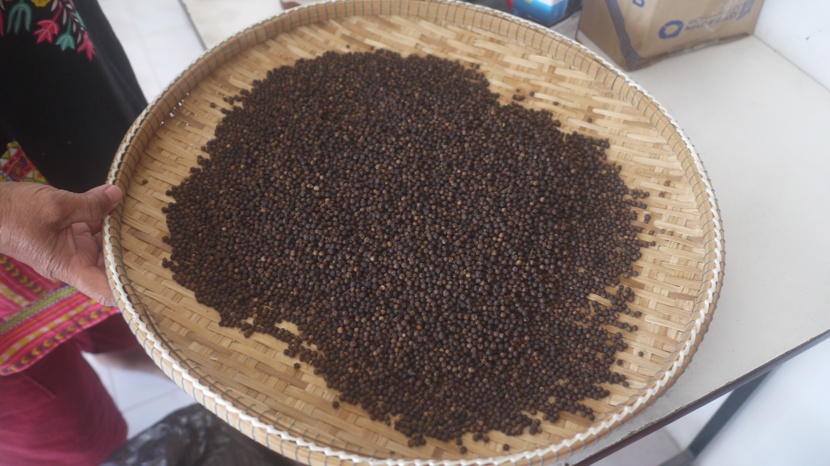 P1150824.JPG