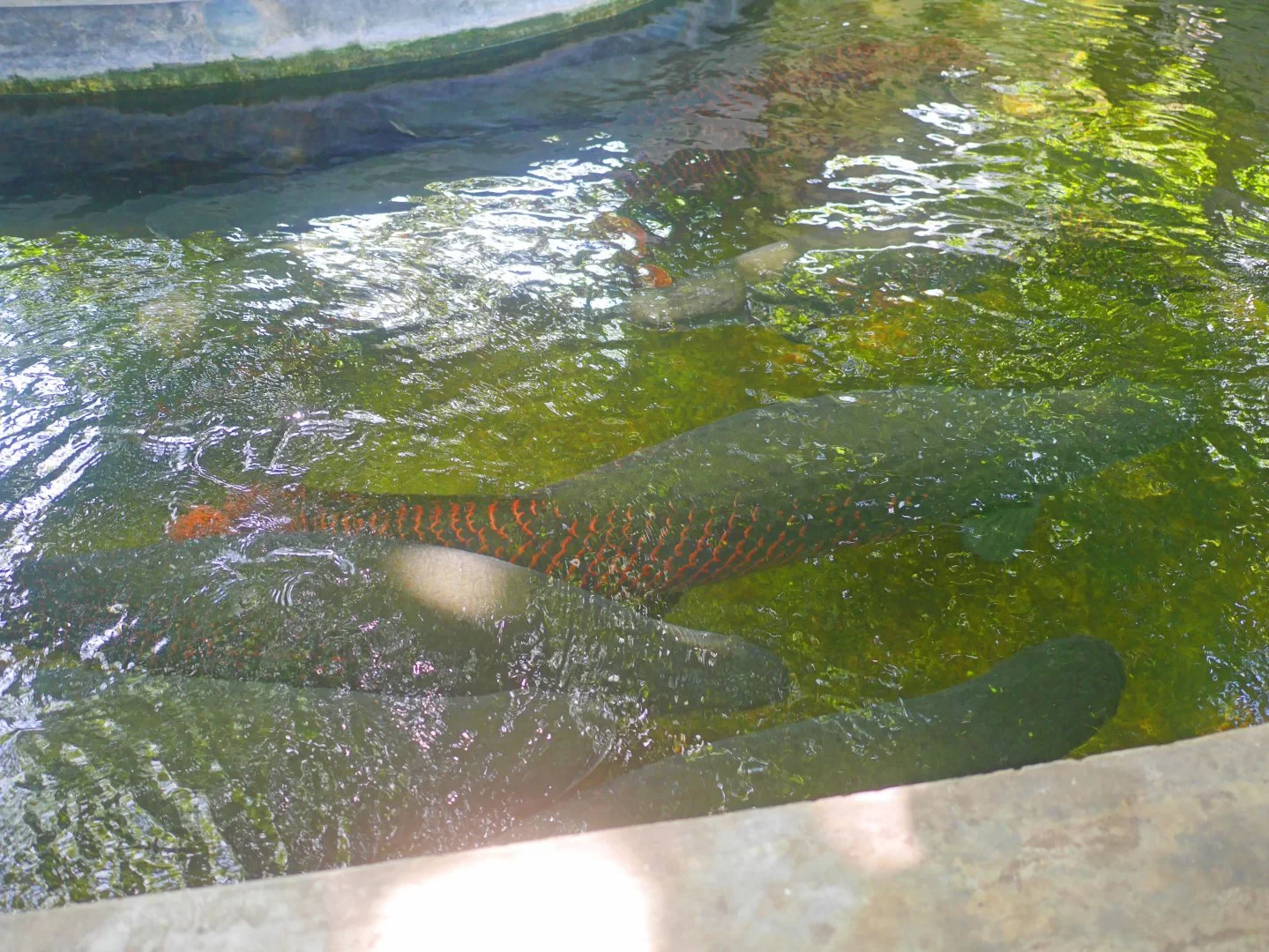 P1160017.webp