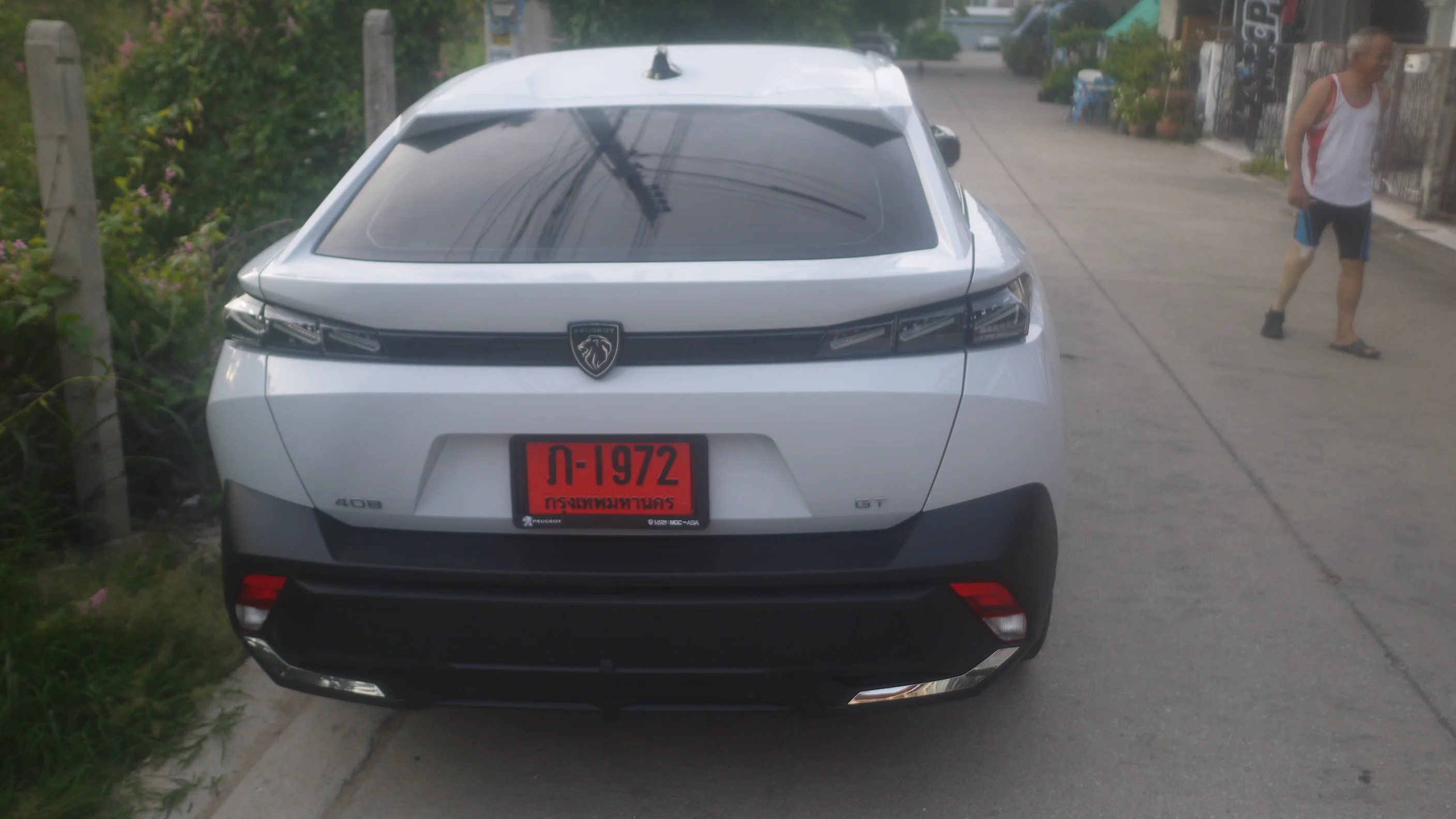 P1160151.webp