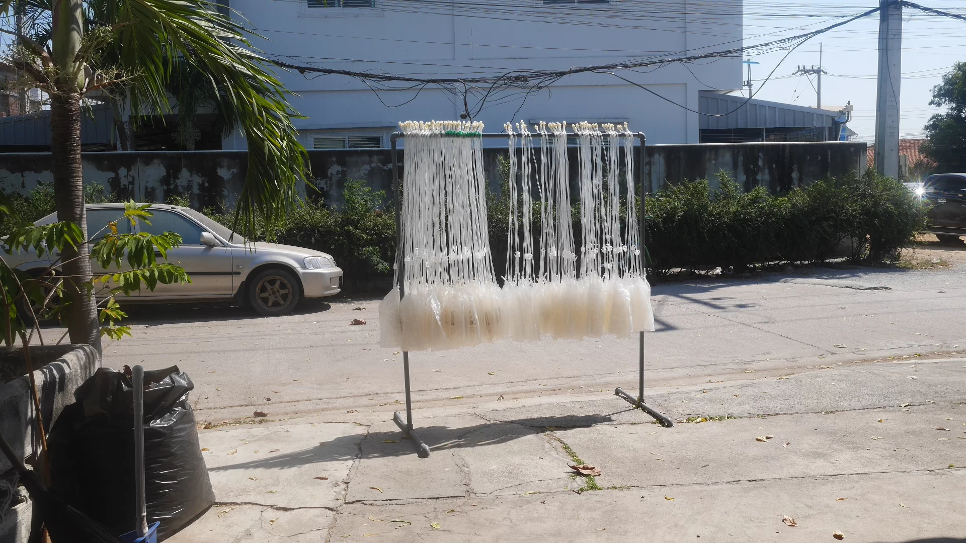 P1160303.webp