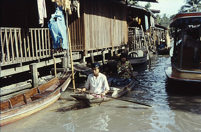 p13.jpg