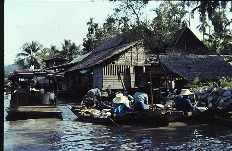 p14.jpg