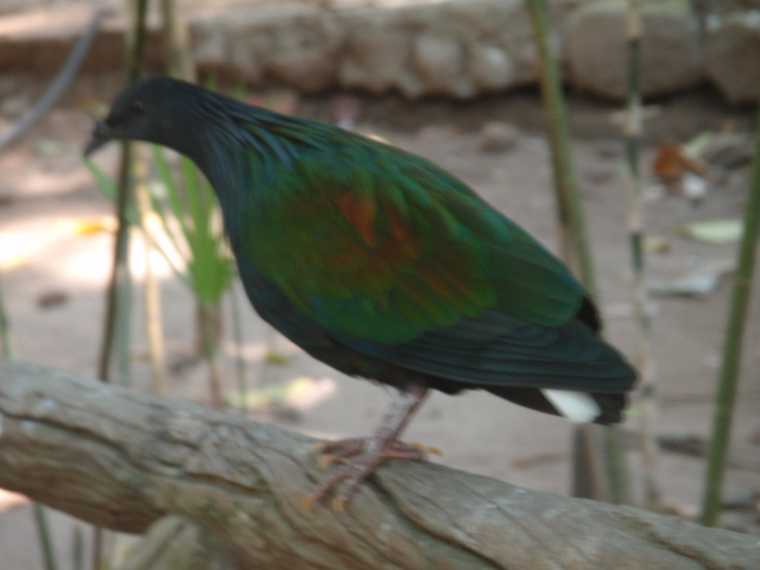 P2030108.png