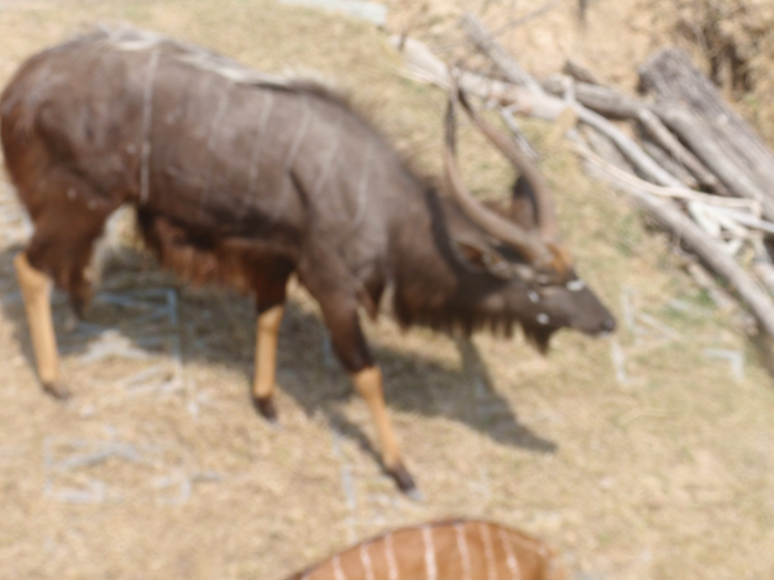 P2030163.png
