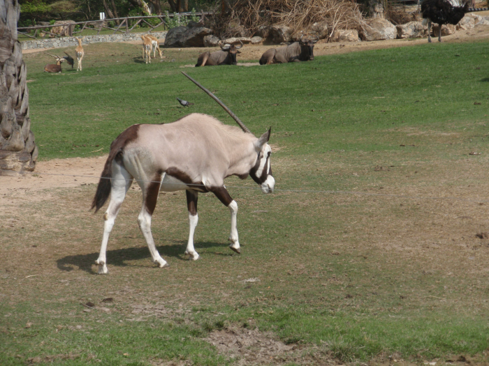 P2030164-1.png