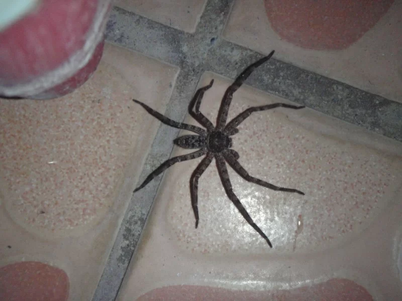 P3280039%20[][1].webp