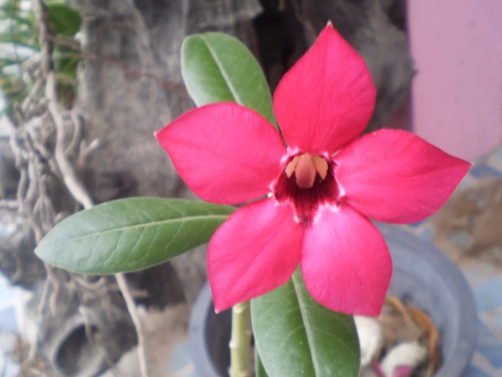 P3302133.webp
