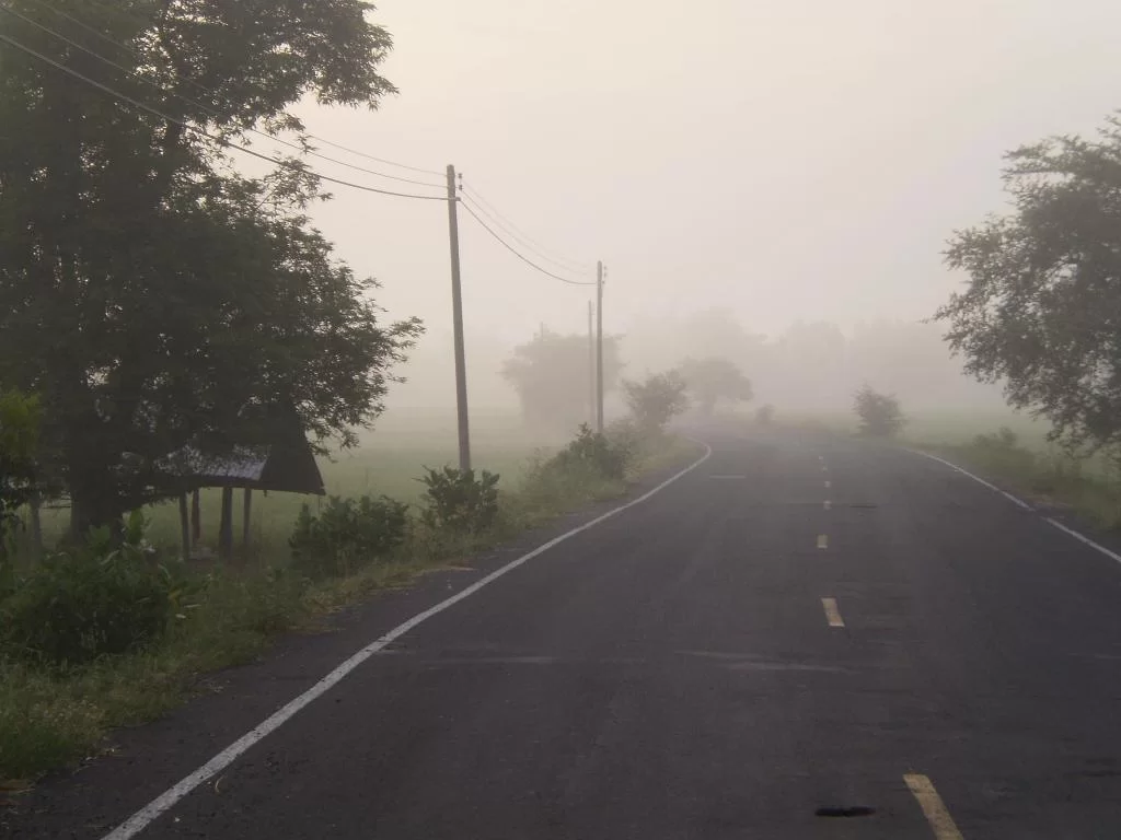 P8140855.webp