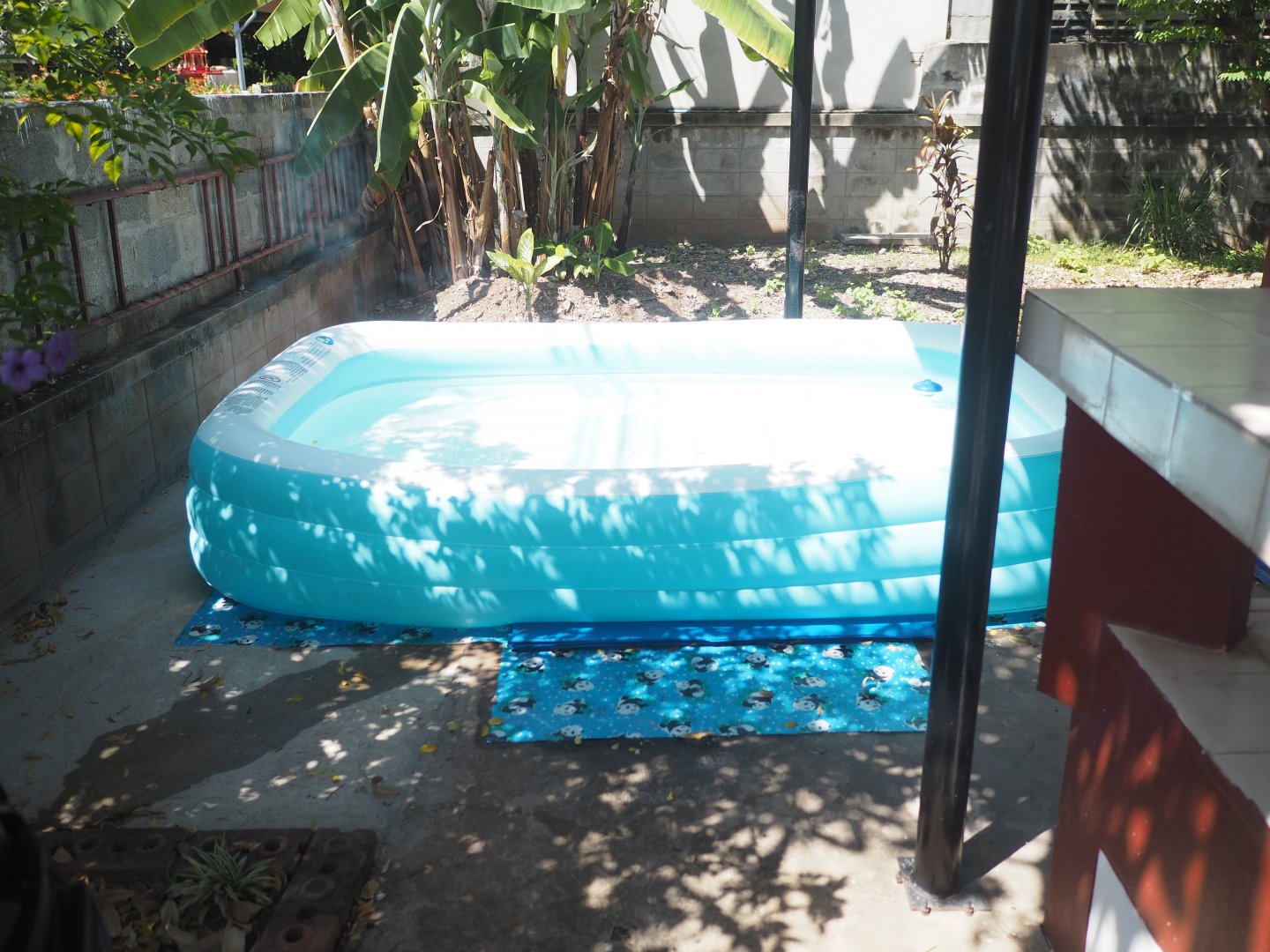 PA140163.JPG