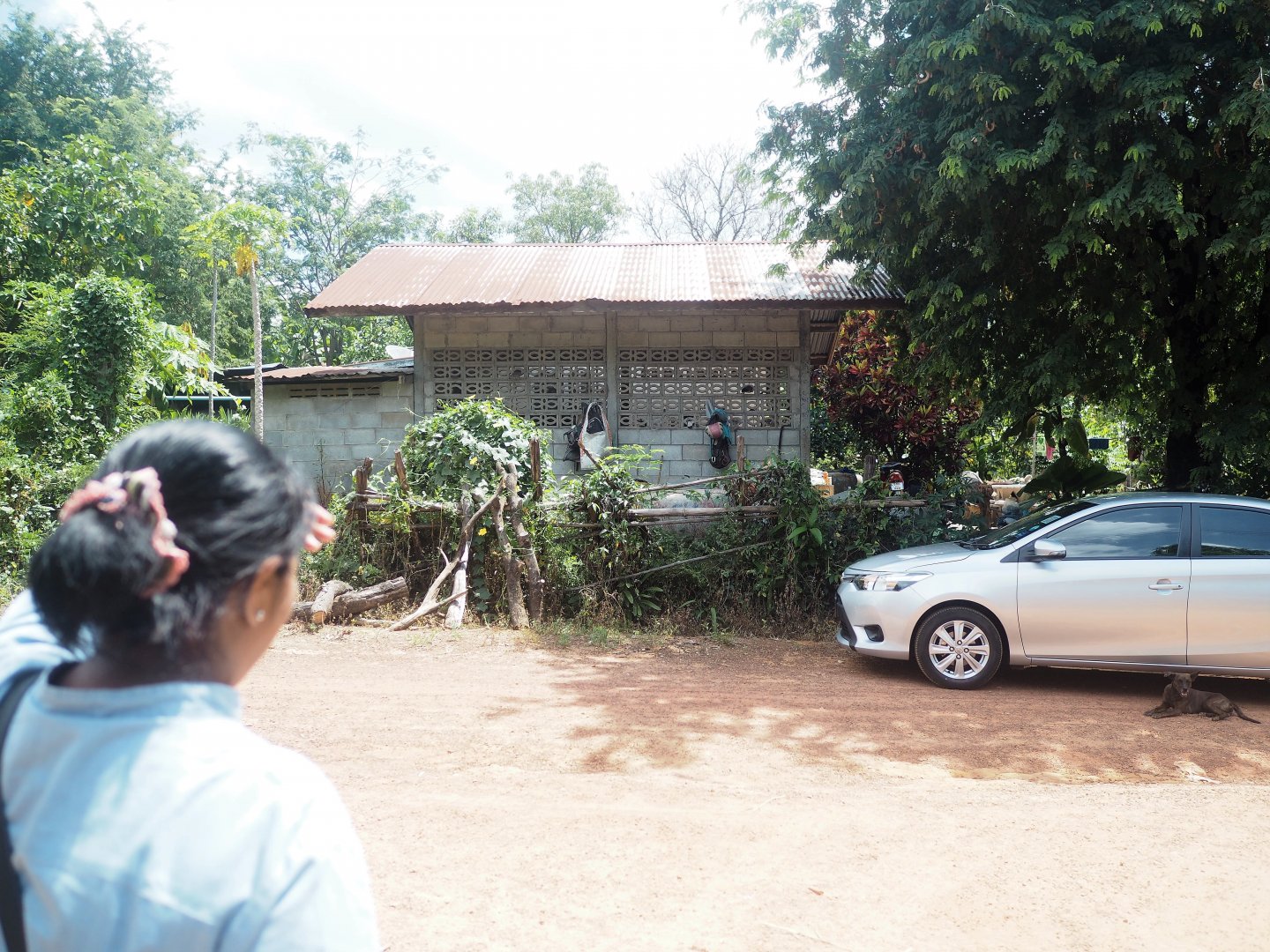PA140188.JPG