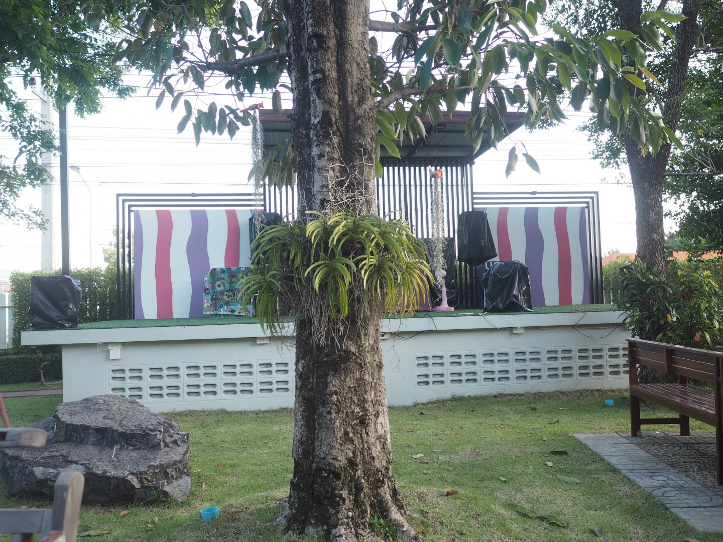 PA140232.JPG