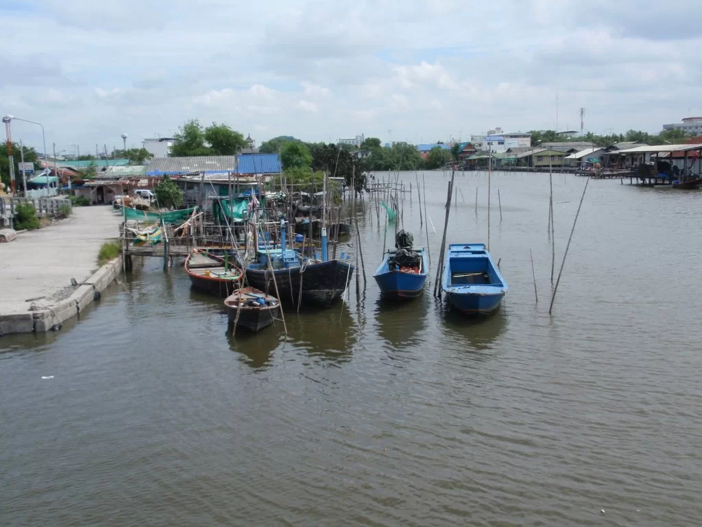 PA230211.webp