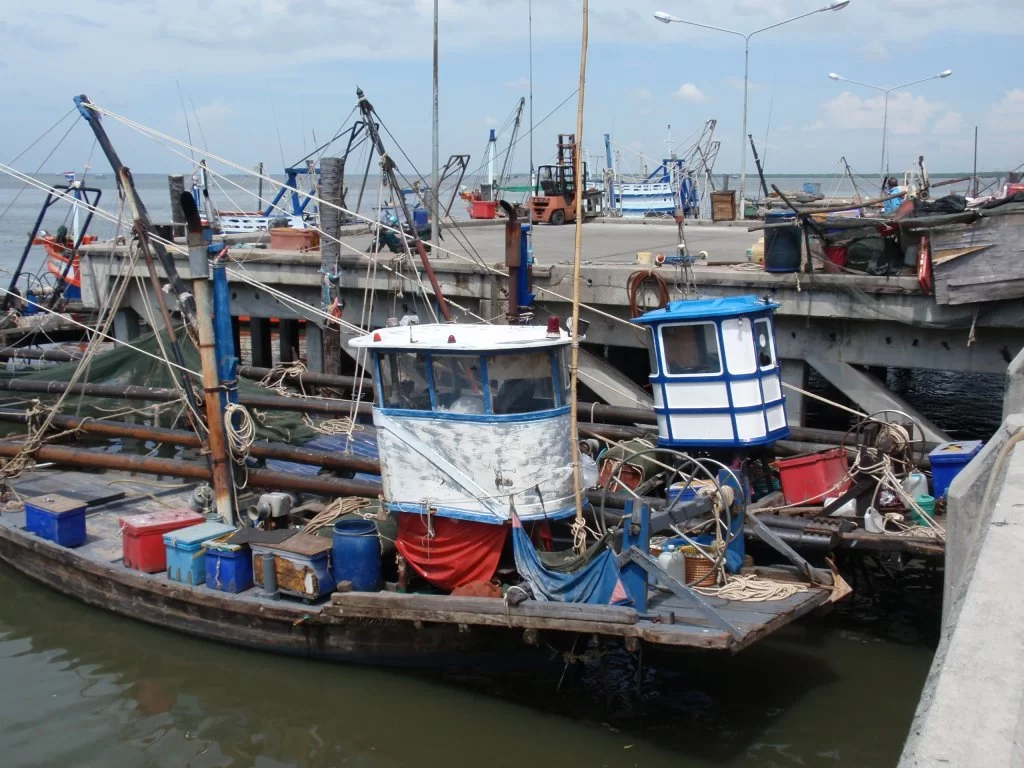 PA230214.webp