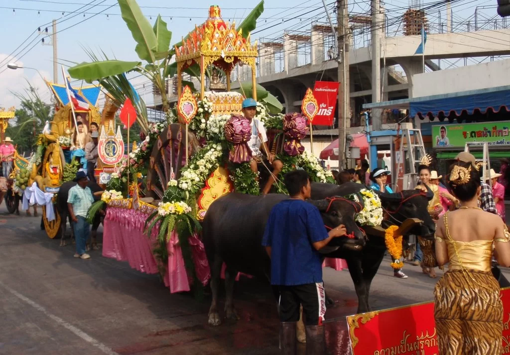 PA280374.webp