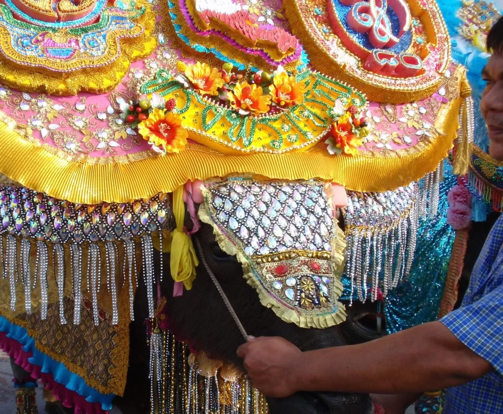 PA280385.webp