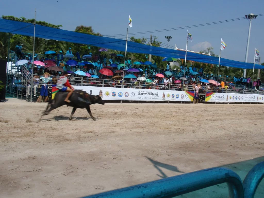 PA280463.webp