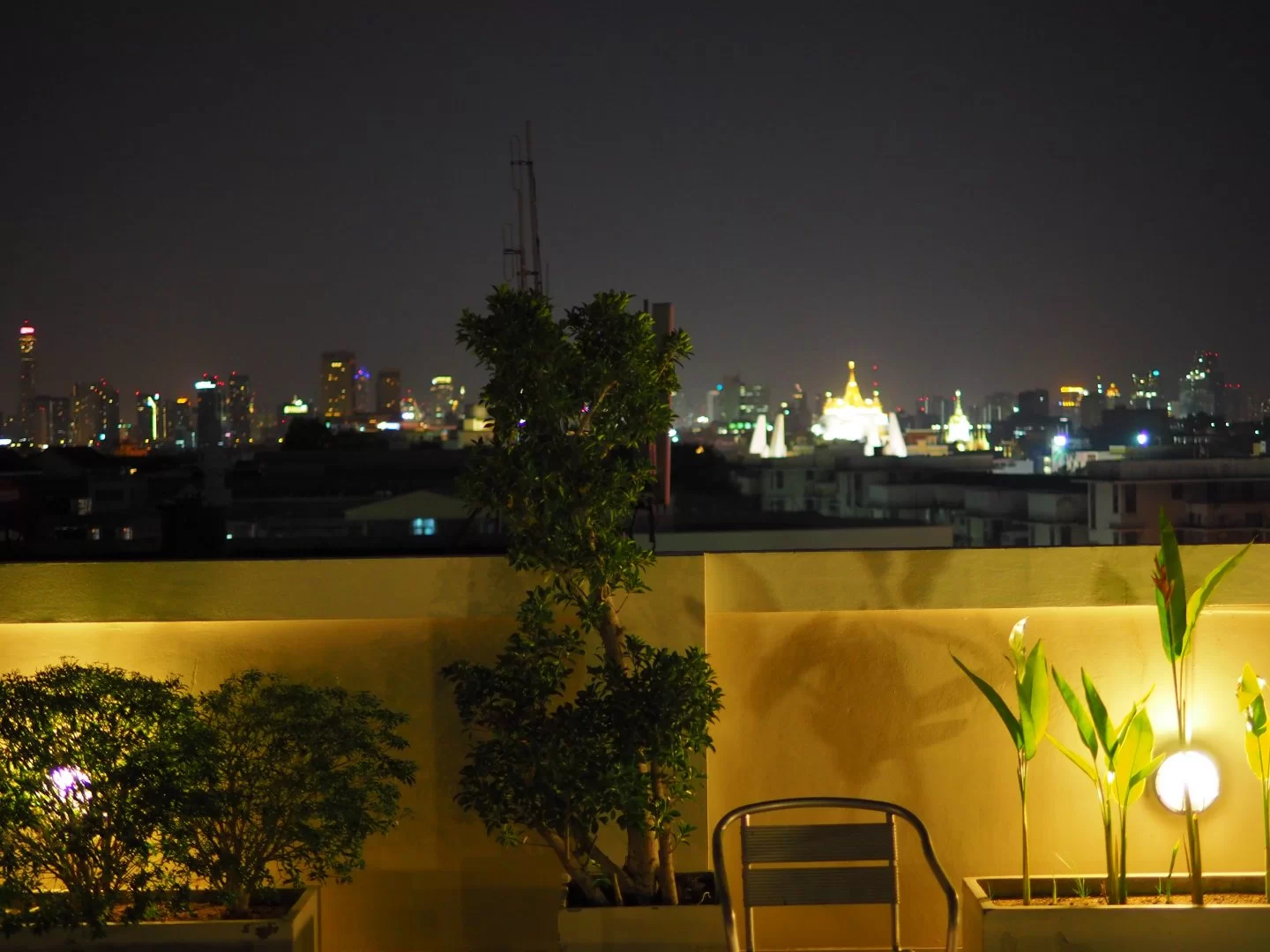 PA310193.webp