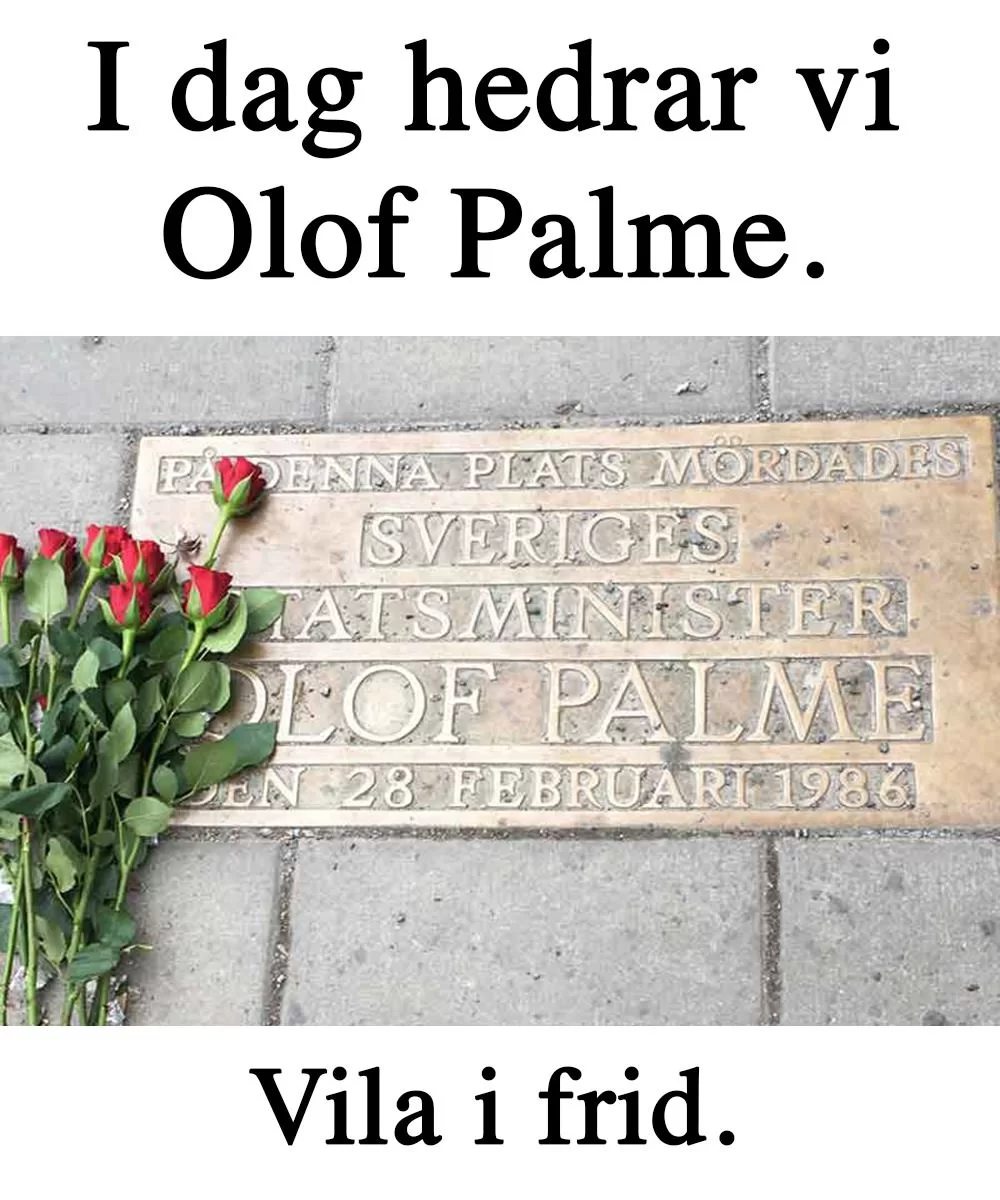 Palme.webp