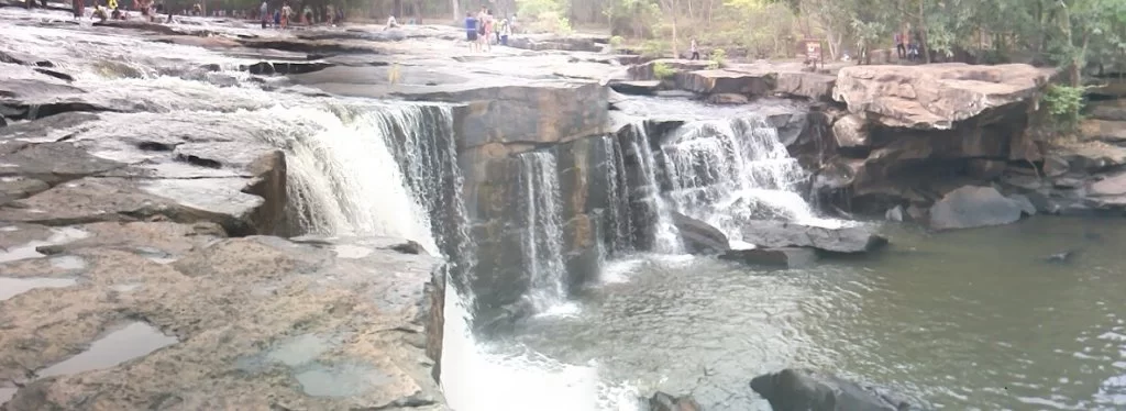 PANO_tad.webp