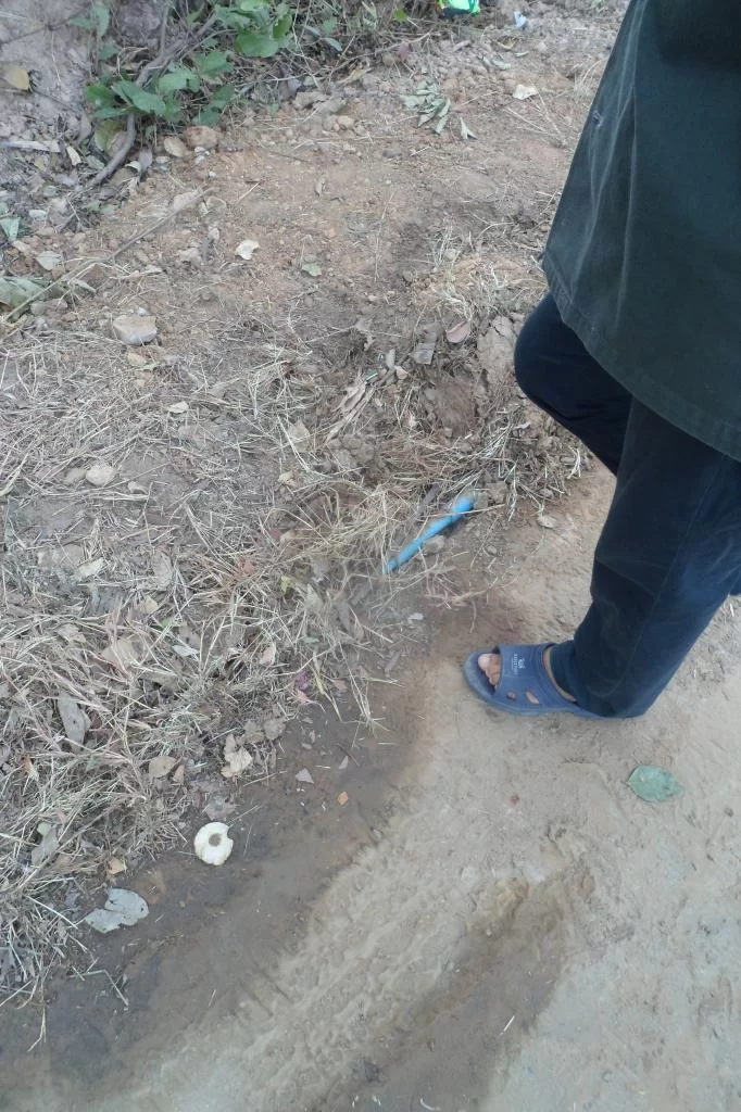 Partaj 25 dec. 2014 006.webp