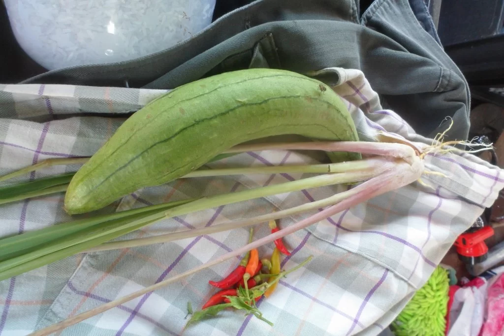 Passport control 003.webp