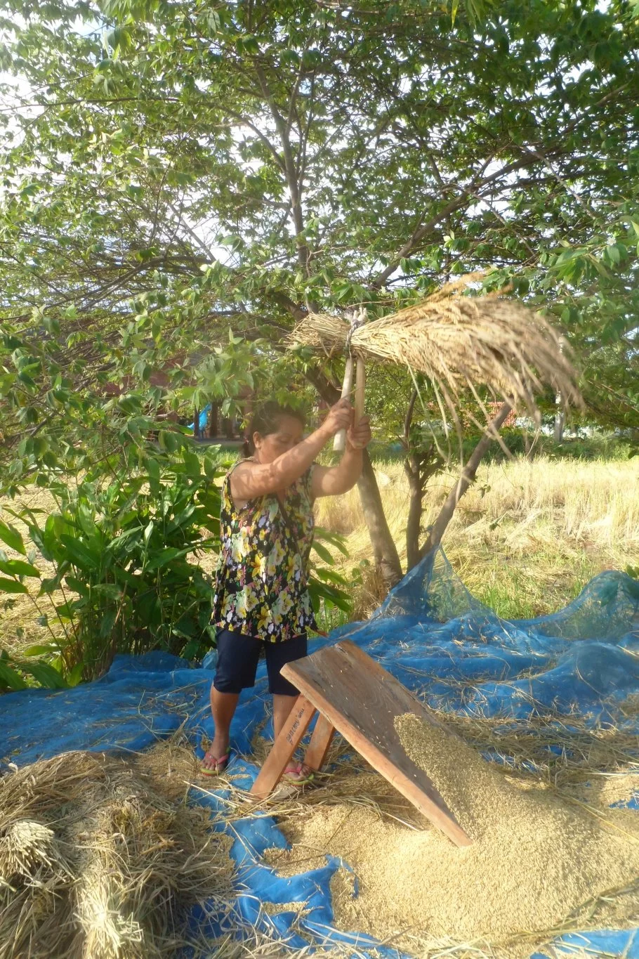 Passport control 007.webp