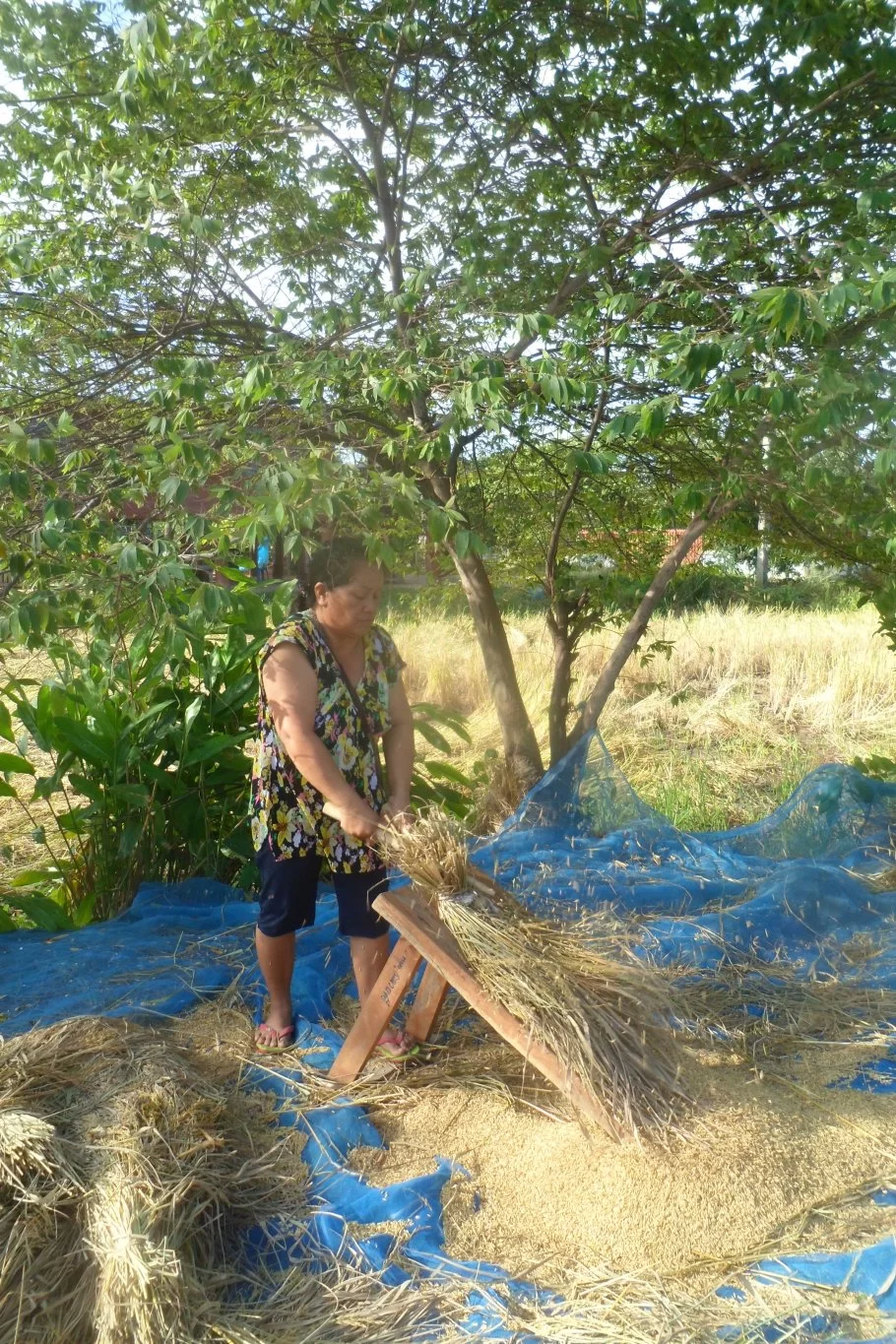 Passport control 008.webp