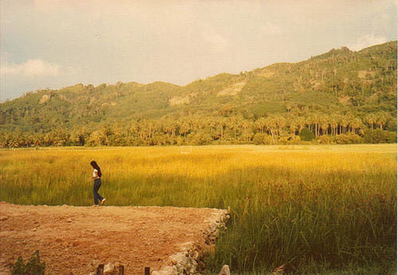 patong [800x600].jpg