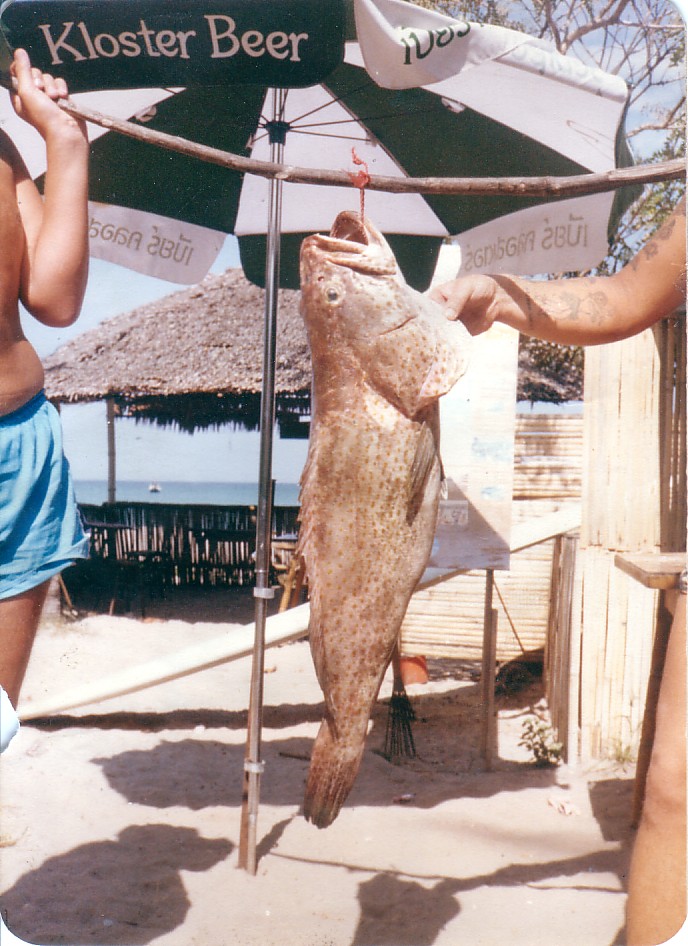 patong Thailändsak Torsk.jpg