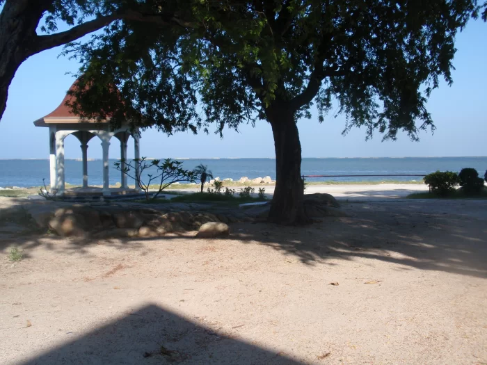PB020006.webp