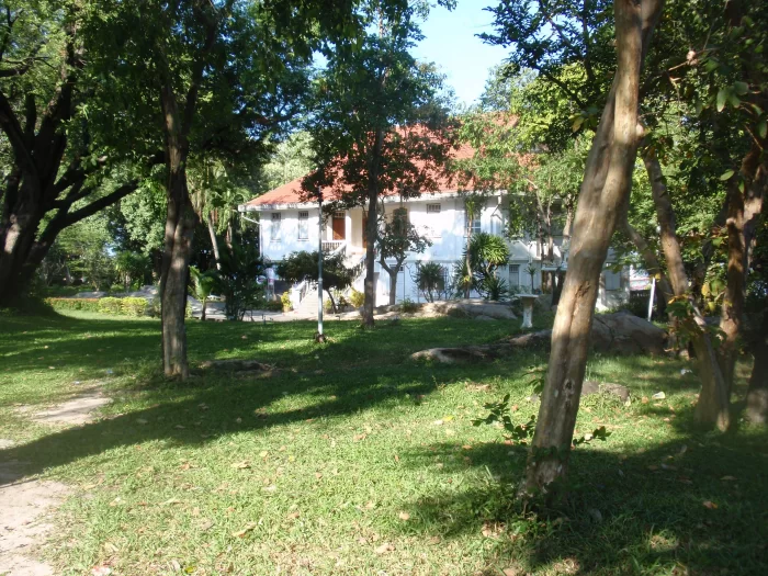 PB020009.webp