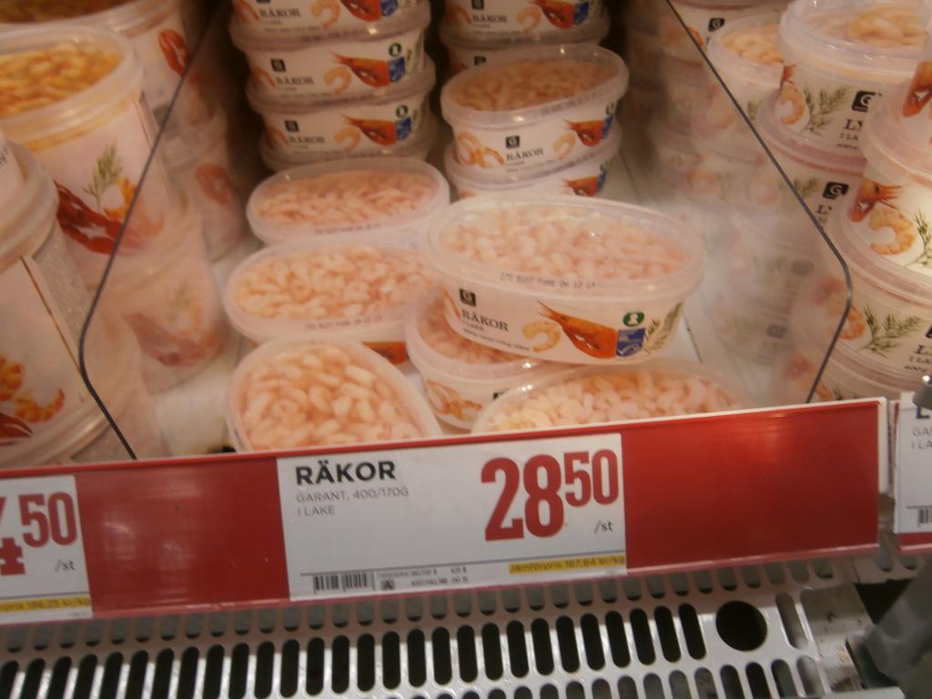 PB090748.jpg
