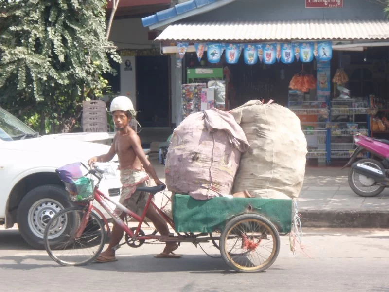 PB240245 [800x600].webp