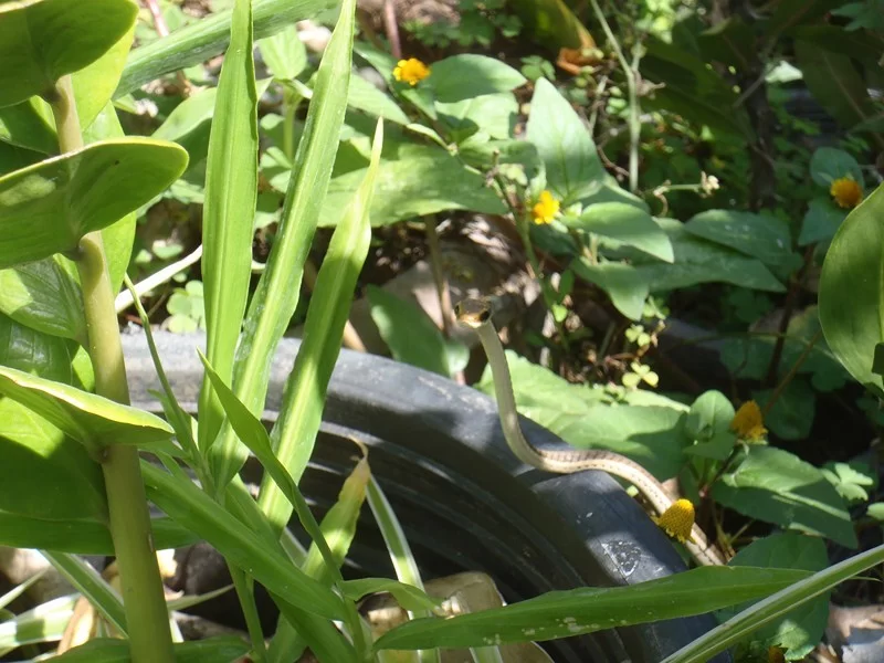 PC010009 (Kopia) (Kopia).webp