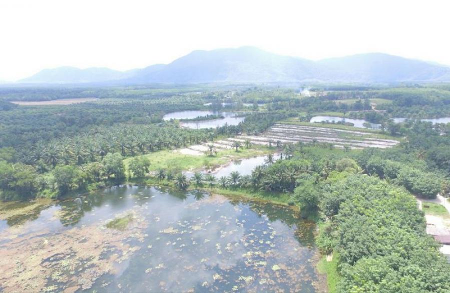 phangna fl.jpeg