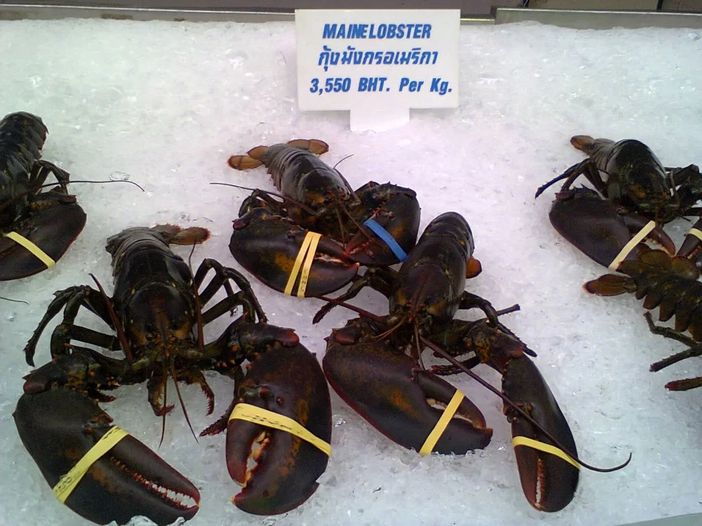 Photo0019.webp