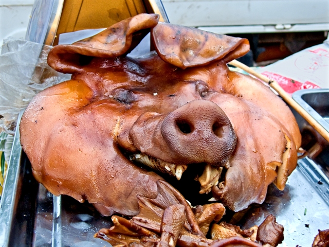 pig head.JPG