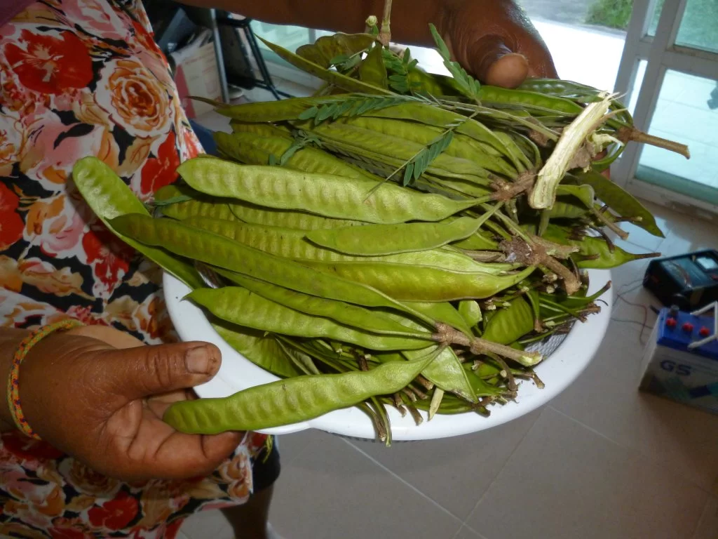 Polisbesök 001.webp