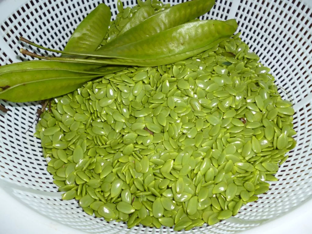 Polisbesök 002.webp