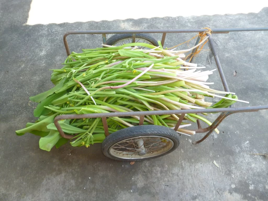 Polisbesök 008.webp