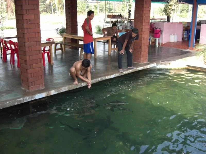 post-3262-0-11564800-1372519250.webp