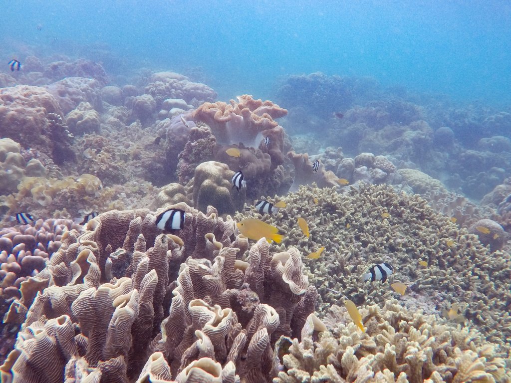 PSX_20181202_100144.jpg